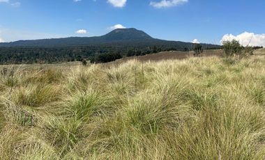 Gran Terreno en Venta, ubicado en el Paraje de Hueyametla – Las Cruces del Poblado de Santo Tomas Ajusco, Cuenta con una superficie de: 10 Hectáreas. 