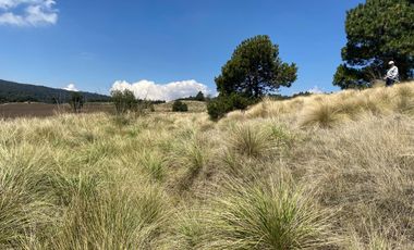 Gran Terreno en Venta, ubicado en el Paraje de Hueyametla – Las Cruces del Poblado de Santo Tomas Ajusco, Cuenta con una superficie de: 10 Hectáreas. 