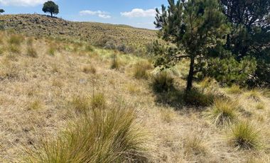 Gran Terreno en Venta, ubicado en el Paraje de Hueyametla – Las Cruces del Poblado de Santo Tomas Ajusco, Cuenta con una superficie de: 10 Hectáreas. 