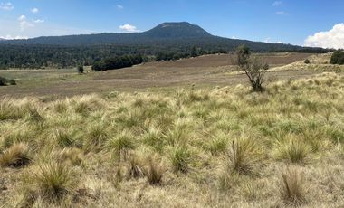 Gran Terreno en Venta, ubicado en el Paraje de Hueyametla – Las Cruces del Poblado de Santo Tomas Ajusco, Cuenta con una superficie de: 10 Hectáreas. 