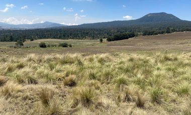Gran Terreno en Venta, ubicado en el Paraje de Hueyametla – Las Cruces del Poblado de Santo Tomas Ajusco, Cuenta con una superficie de: 10 Hectáreas. 