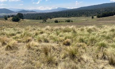 Gran Terreno en Venta, ubicado en el Paraje de Hueyametla – Las Cruces del Poblado de Santo Tomas Ajusco, Cuenta con una superficie de: 10 Hectáreas. 