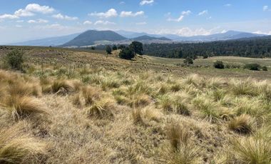 Gran Terreno en Venta, ubicado en el Paraje de Hueyametla – Las Cruces del Poblado de Santo Tomas Ajusco, Cuenta con una superficie de: 10 Hectáreas. 