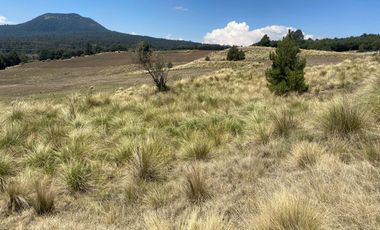 Gran Terreno en Venta, ubicado en el Paraje de Hueyametla – Las Cruces del Poblado de Santo Tomas Ajusco, Cuenta con una superficie de: 10 Hectáreas. 