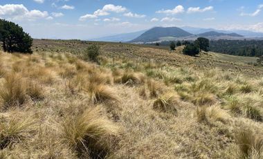 Gran Terreno en Venta, ubicado en el Paraje de Hueyametla – Las Cruces del Poblado de Santo Tomas Ajusco, Cuenta con una superficie de: 10 Hectáreas. 