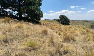 Gran Terreno en Venta, ubicado en el Paraje de Hueyametla – Las Cruces del Poblado de Santo Tomas Ajusco, Cuenta con una superficie de: 10 Hectáreas. 