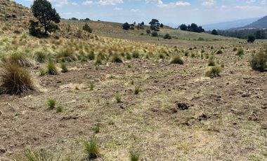 Gran Terreno en Venta, ubicado en el Paraje de Hueyametla – Las Cruces del Poblado de Santo Tomas Ajusco, Cuenta con una superficie de: 10 Hectáreas. 
