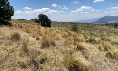 Gran Terreno en Venta, ubicado en el Paraje de Hueyametla – Las Cruces del Poblado de Santo Tomas Ajusco, Cuenta con una superficie de: 10 Hectáreas. 