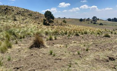 Gran Terreno en Venta, ubicado en el Paraje de Hueyametla – Las Cruces del Poblado de Santo Tomas Ajusco, Cuenta con una superficie de: 10 Hectáreas. 