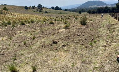 Gran Terreno en Venta, ubicado en el Paraje de Hueyametla – Las Cruces del Poblado de Santo Tomas Ajusco, Cuenta con una superficie de: 10 Hectáreas. 