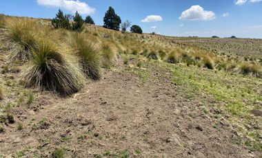 Gran Terreno en Venta, ubicado en el Paraje de Hueyametla – Las Cruces del Poblado de Santo Tomas Ajusco, Cuenta con una superficie de: 10 Hectáreas. 