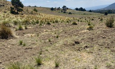 Gran Terreno en Venta, ubicado en el Paraje de Hueyametla – Las Cruces del Poblado de Santo Tomas Ajusco, Cuenta con una superficie de: 10 Hectáreas. 