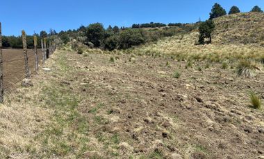 Gran Terreno en Venta, ubicado en el Paraje de Hueyametla – Las Cruces del Poblado de Santo Tomas Ajusco, Cuenta con una superficie de: 10 Hectáreas. 