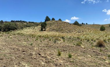 Gran Terreno en Venta, ubicado en el Paraje de Hueyametla – Las Cruces del Poblado de Santo Tomas Ajusco, Cuenta con una superficie de: 10 Hectáreas. 
