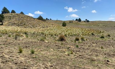 Gran Terreno en Venta, ubicado en el Paraje de Hueyametla – Las Cruces del Poblado de Santo Tomas Ajusco, Cuenta con una superficie de: 10 Hectáreas. 