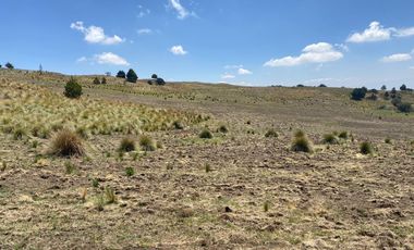 Gran Terreno en Venta, ubicado en el Paraje de Hueyametla – Las Cruces del Poblado de Santo Tomas Ajusco, Cuenta con una superficie de: 10 Hectáreas. 