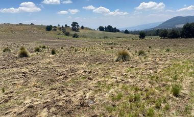 Gran Terreno en Venta, ubicado en el Paraje de Hueyametla – Las Cruces del Poblado de Santo Tomas Ajusco, Cuenta con una superficie de: 10 Hectáreas. 