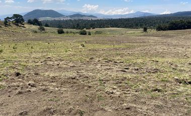 Gran Terreno en Venta, ubicado en el Paraje de Hueyametla – Las Cruces del Poblado de Santo Tomas Ajusco, Cuenta con una superficie de: 10 Hectáreas. 