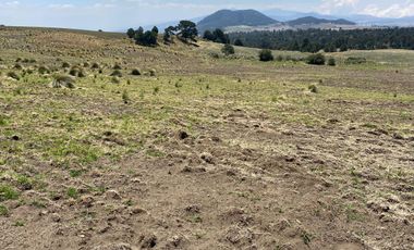 Gran Terreno en Venta, ubicado en el Paraje de Hueyametla – Las Cruces del Poblado de Santo Tomas Ajusco, Cuenta con una superficie de: 10 Hectáreas. 