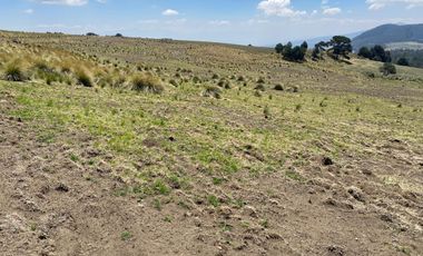 Gran Terreno en Venta, ubicado en el Paraje de Hueyametla – Las Cruces del Poblado de Santo Tomas Ajusco, Cuenta con una superficie de: 10 Hectáreas. 