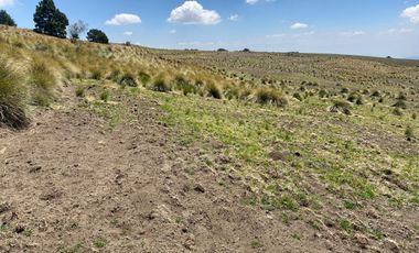Gran Terreno en Venta, ubicado en el Paraje de Hueyametla – Las Cruces del Poblado de Santo Tomas Ajusco, Cuenta con una superficie de: 10 Hectáreas. 