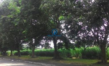 Industrial Lots for lease in Greenfield Industrial Park, Laguna