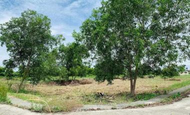 House and Lot Package in Eagle Crest Villa, Dagupan City