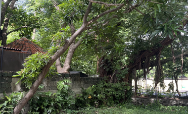 Ayala Alabang Village Residential Lot for Sale, Muntinlupa