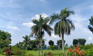 FOR RENT Stylish Retreat: 3-Bedroom Residence with Golf Course Views in Silang, Tagaytay