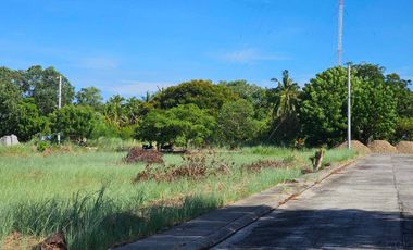 Pre-Selling Bungalow House and Lot in Eagle Crest Villa, Dagupan City
