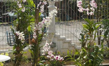 HOUSE AND LOT FOR SALE ID 14907