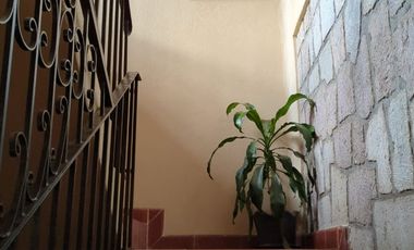 Comodidad absoluta en un entorno verde. Mini departamento para una persona o pareja de profesionistas, responsable. 1 habitación, 1 baño