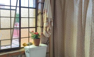 Comodidad absoluta en un entorno verde. Mini departamento para una persona o pareja de profesionistas, responsable. 1 habitación, 1 baño