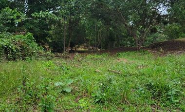 Linda Quinta 12.619 m2 - Puerto Quito - Río - Lotización privada.