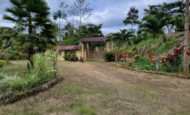 Linda Quinta 12.619 m2 - Puerto Quito - Río - Lotización privada.