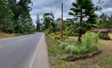 Linda Quinta 12.619 m2 - Puerto Quito - Río - Lotización privada.