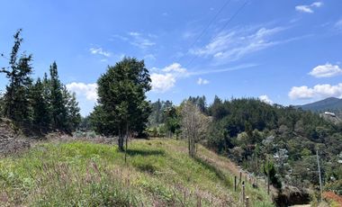 Lote En El Retiro, vereda el Chuscal, El Portento