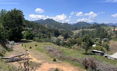 Lote En El Retiro, vereda el Chuscal, El Portento