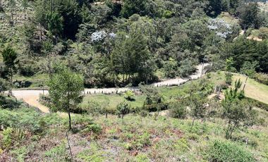 Lote En El Retiro, vereda el Chuscal, El Portento
