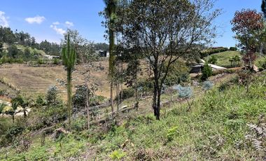 Lote En El Retiro, vereda el Chuscal, El Portento