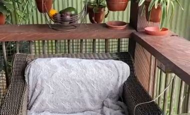 Venta de finca Lote 10.752 m2,  2 casas, El lugar ideal para vivir, a 6 kilómetros del Aeropuerto de Rionegro