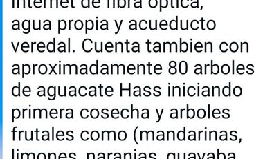 Venta de finca Lote 10.752 m2,  2 casas, El lugar ideal para vivir, a 6 kilómetros del Aeropuerto de Rionegro