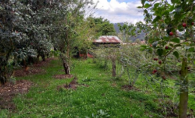 FINCA EN VENTA