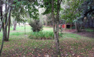 FINCA EN VENTA