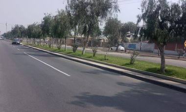 VENDO DE OCASION TERRENO DE AT 160 M2 POR LA AV NARANJAL DISTRITO DE LOS OLIVOS