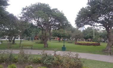 VENDO DE OCASION TERRENO DE AT 160 M2 POR LA AV NARANJAL DISTRITO DE LOS OLIVOS