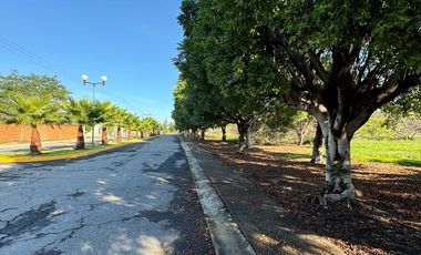 Terreno en Venta en Fraccionamiento Real La Alfonsina en Atlixco, Puebla