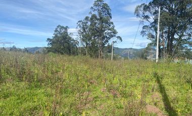 Terreno en Cojitambo
