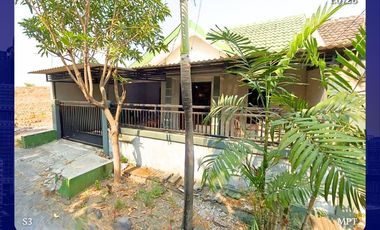 Rumah Kotabaru Driyorejo Murah Gresik dekat Kalimaya Pancawarna Citraland Strategis