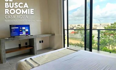 SE BUSCA ROOMIE EN CANCÚN